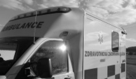 Zdravotnické záchranné služby  v ČR - bilance roku 2013 