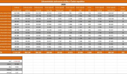 Zdravotnické záchranné služby v době covidu - ohlédnutí za uplynulým rokem